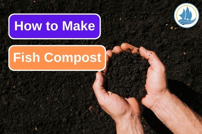 How To Make Fish Compost In 8 Steps